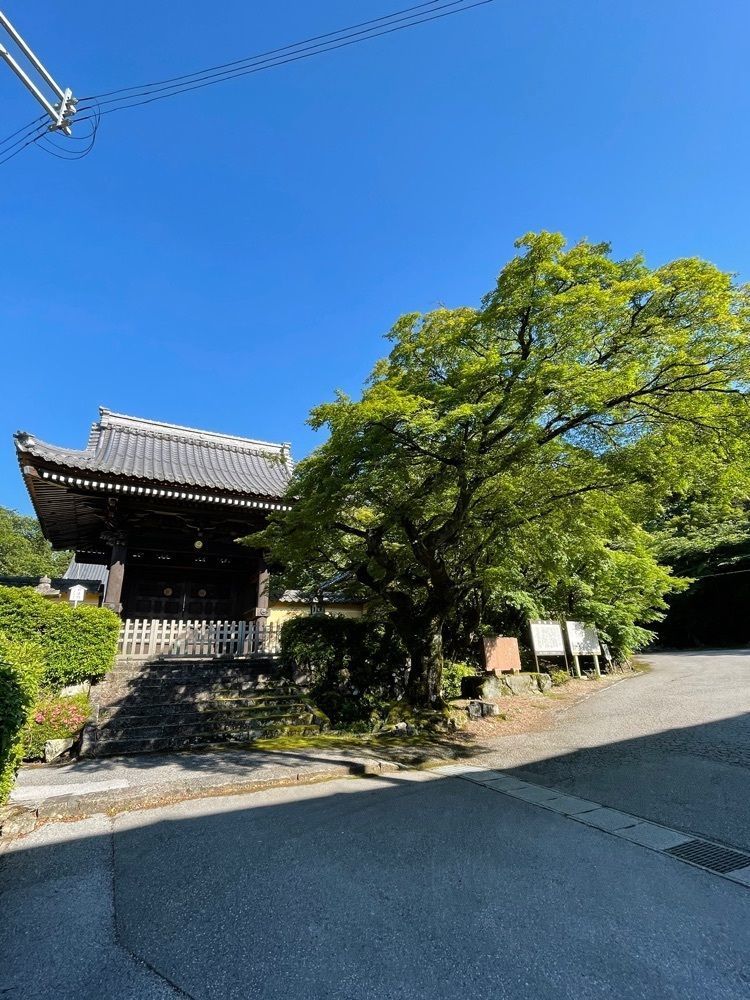 ダルマ大使さんが投稿した蓮華寺に関する口コミの画像