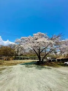 群馬県立ぐんま昆虫の森