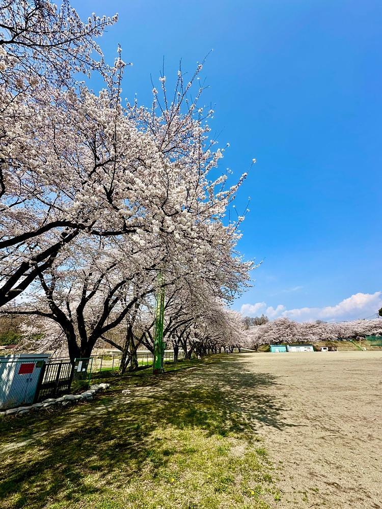からっ風②さんが投稿した群馬県立ぐんま昆虫の森に関する口コミの画像