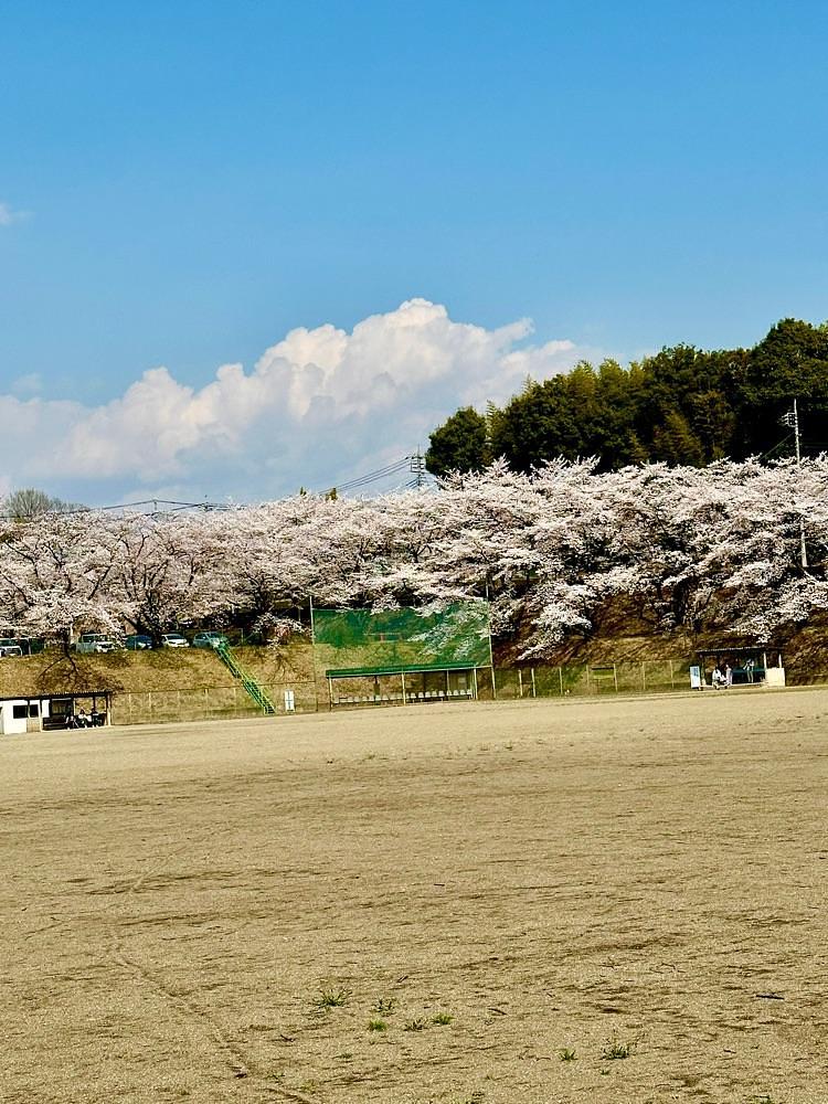 からっ風②さんが投稿した群馬県立ぐんま昆虫の森に関する口コミの画像