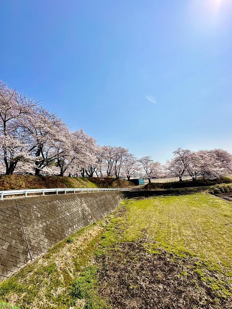 からっ風②さんが投稿した群馬県立ぐんま昆虫の森に関する口コミの画像