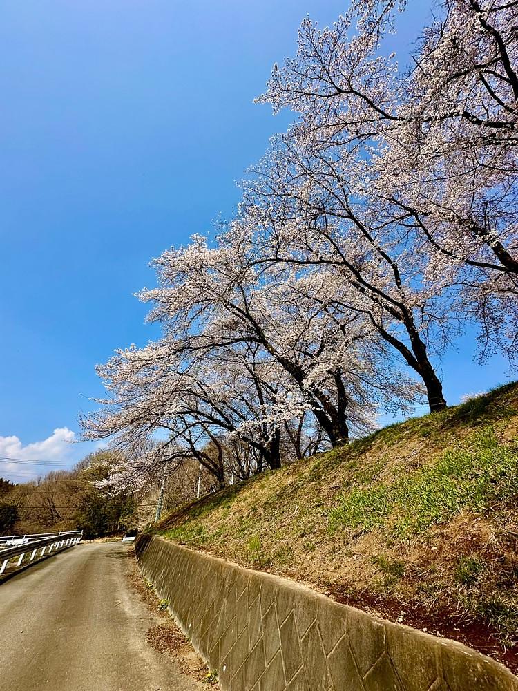 からっ風②さんが投稿した群馬県立ぐんま昆虫の森に関する口コミの画像