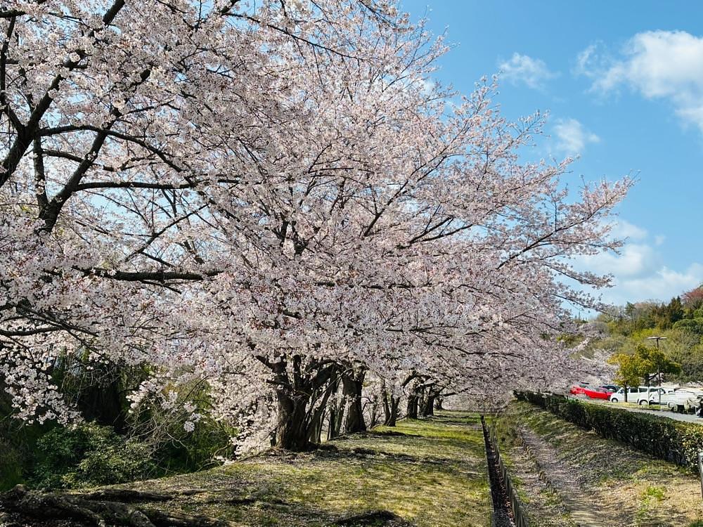 うーとらマンさんが投稿した山田グリーンパークに関する口コミの画像