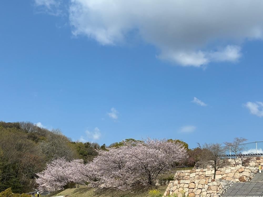 うーとらマンさんが投稿した山田グリーンパークに関する口コミの画像