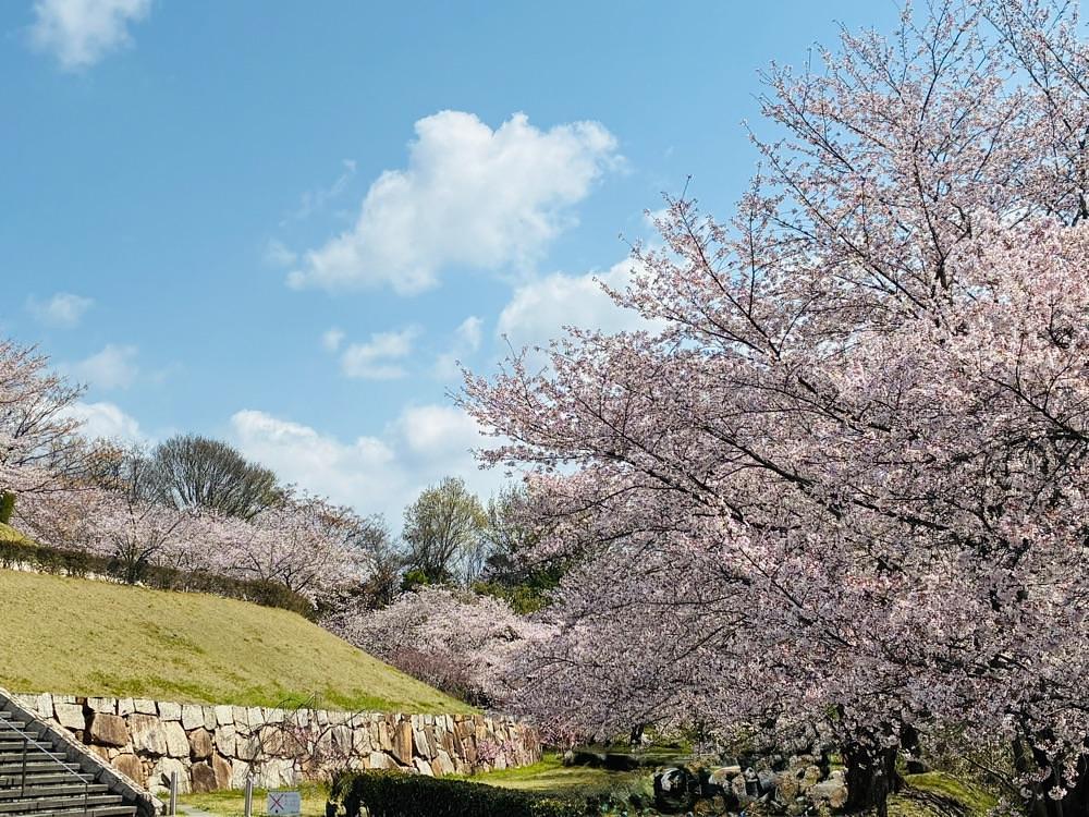 うーとらマンさんが投稿した山田グリーンパークに関する口コミの画像