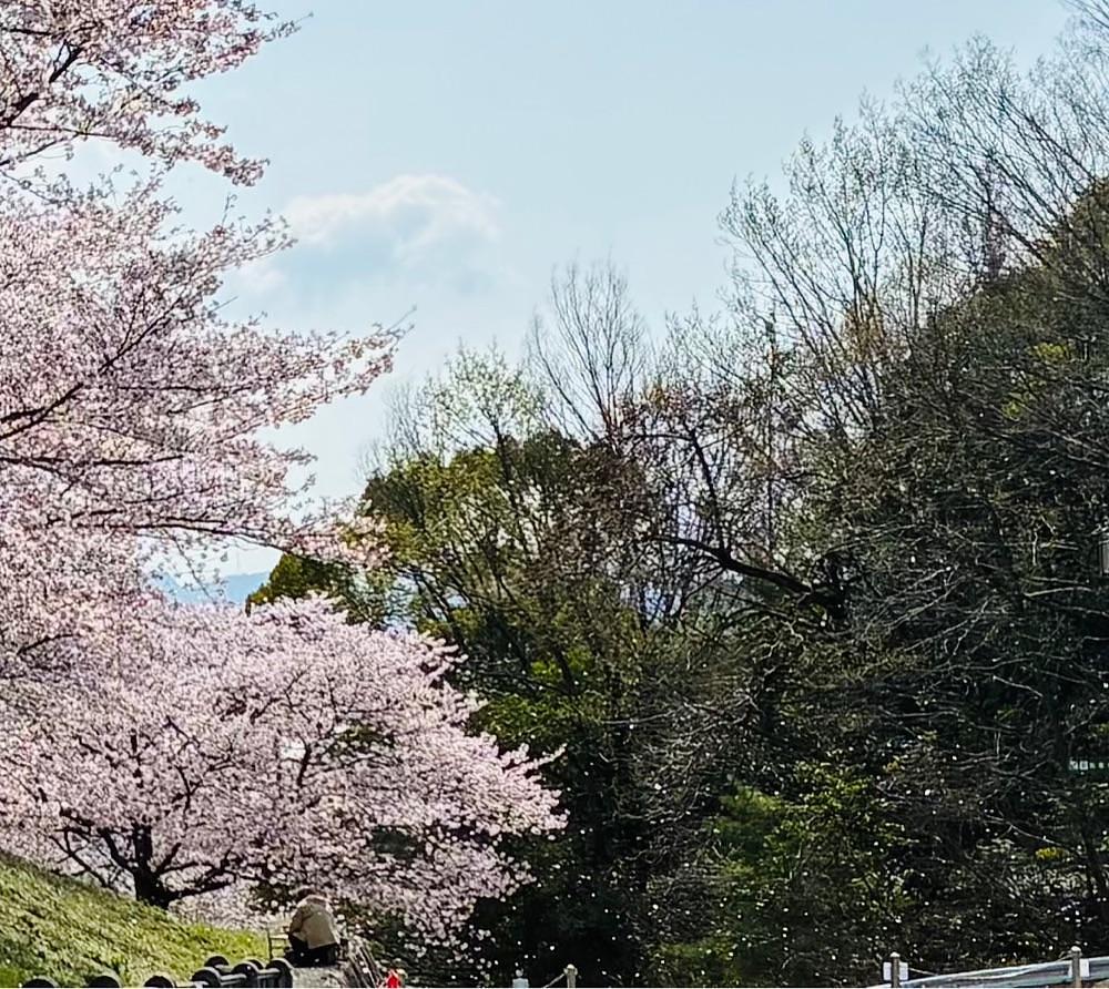 うーとらマンさんが投稿した山田グリーンパークに関する口コミの画像