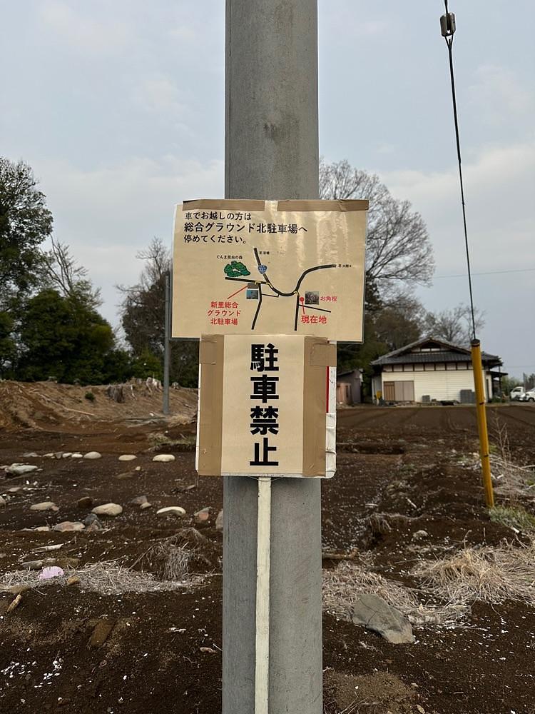 からっ風②さんが投稿した藤生沢のお角ザクラに関する口コミの画像