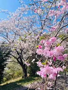 蛇ケ谷公園