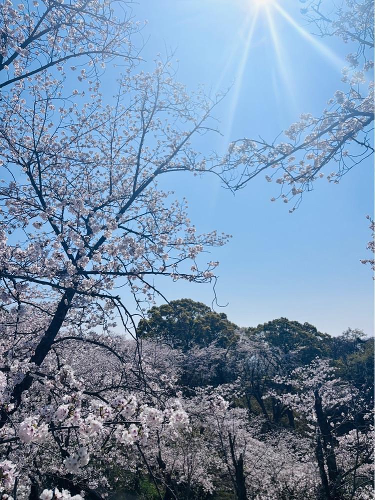 luckyさんが投稿した蛇ケ谷公園に関する口コミの画像