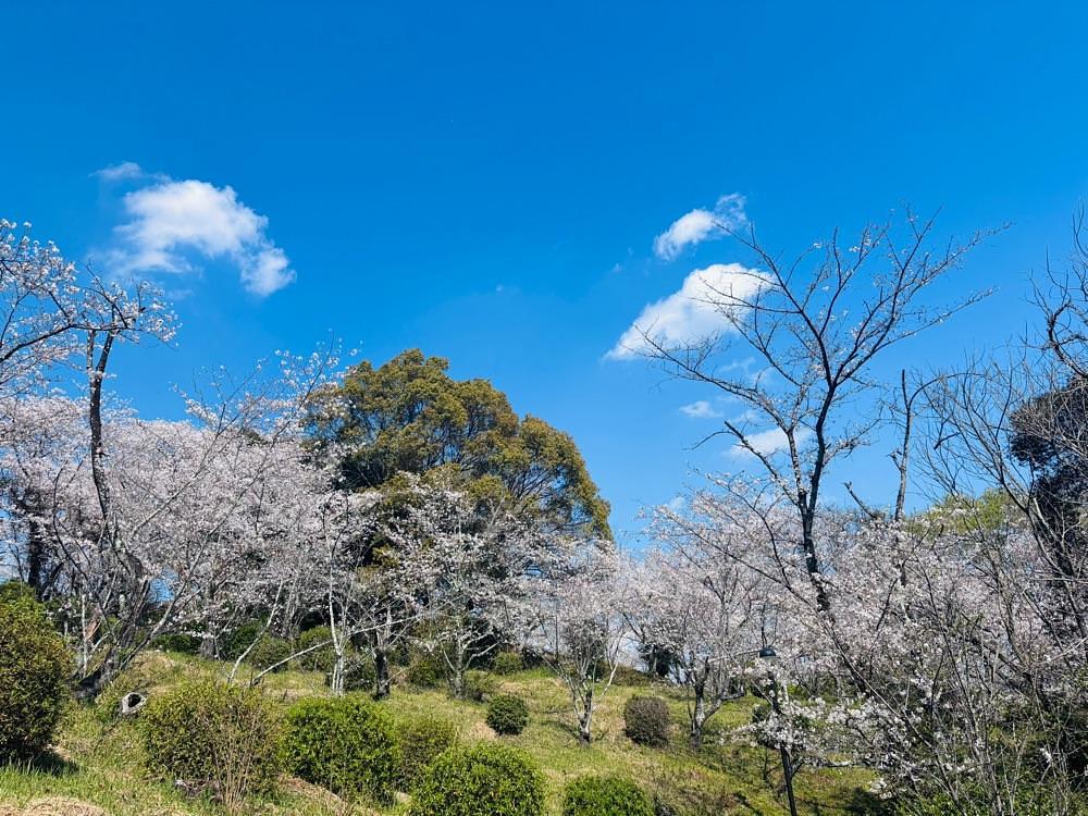 luckyさんが投稿した蛇ケ谷公園に関する口コミの画像
