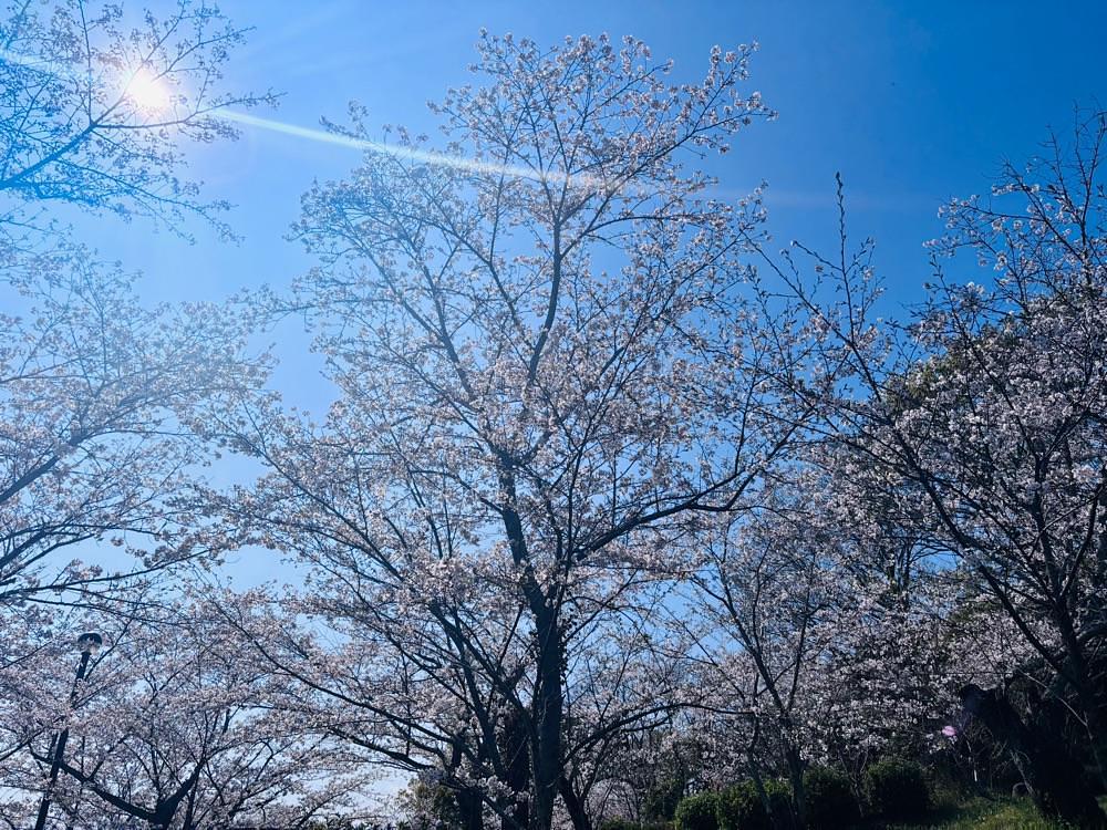 luckyさんが投稿した蛇ケ谷公園に関する口コミの画像