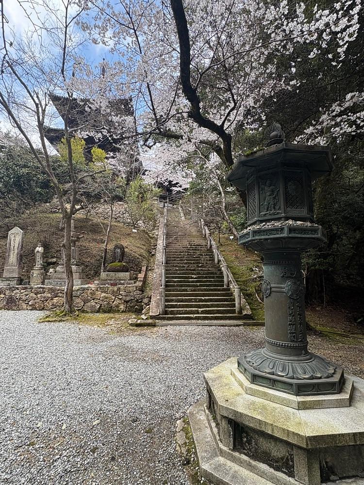 alpha4201さんが投稿した法華山一乗寺に関する口コミの画像