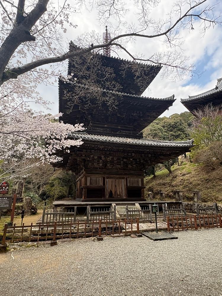 alpha4201さんが投稿した法華山一乗寺に関する口コミの画像