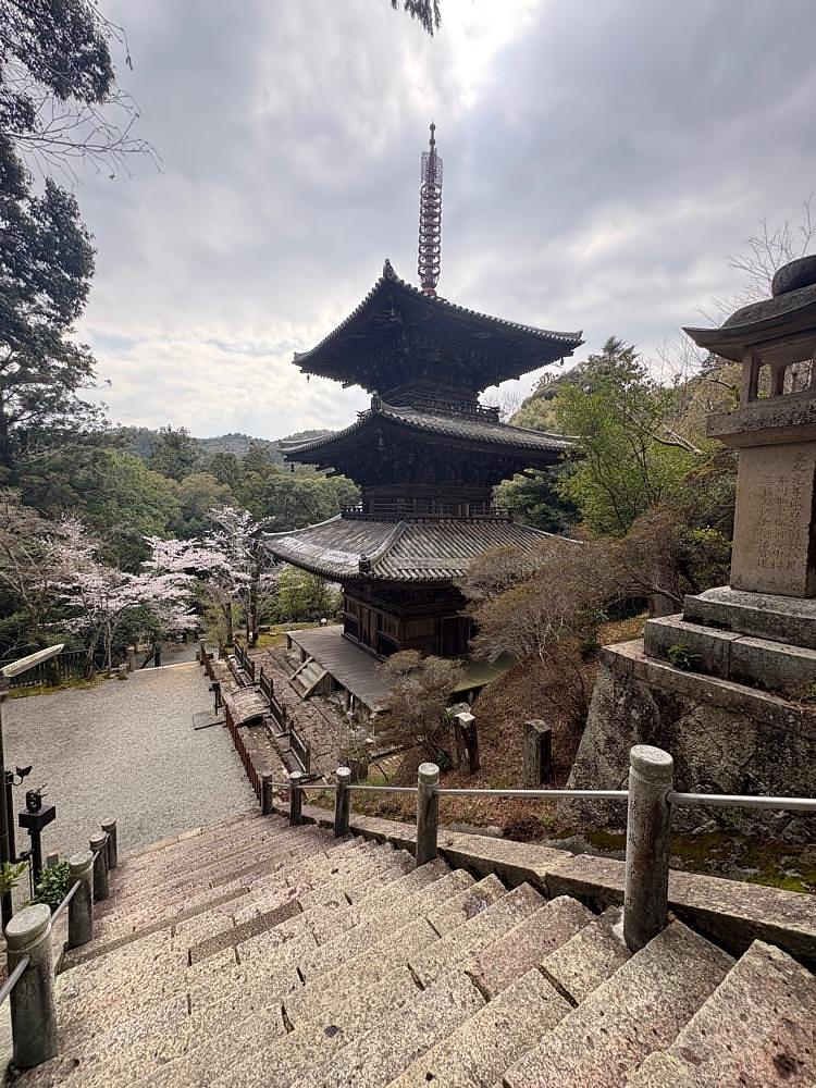 alpha4201さんが投稿した法華山一乗寺に関する口コミの画像
