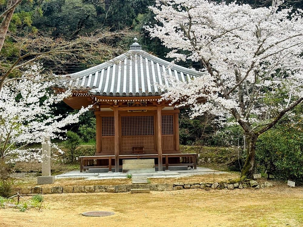 alpha4201さんが投稿した法華山一乗寺に関する口コミの画像