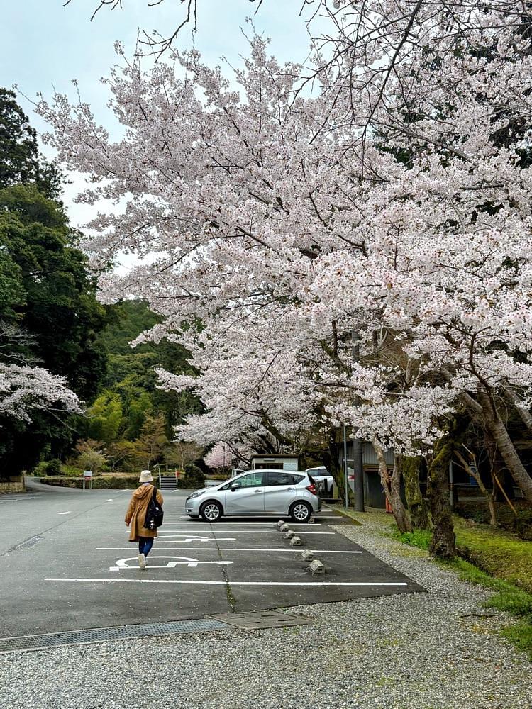 alpha4201さんが投稿した法華山一乗寺に関する口コミの画像
