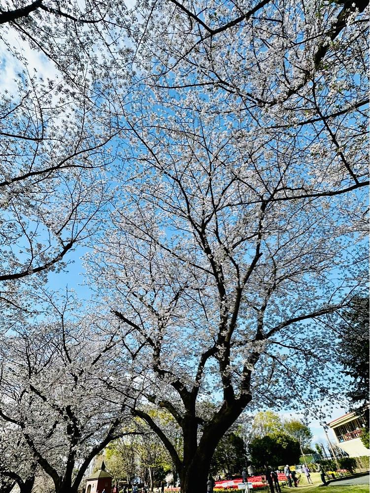 からっ風②さんが投稿した深谷グリーンパーク アクアパラダイスパティオに関する口コミの画像