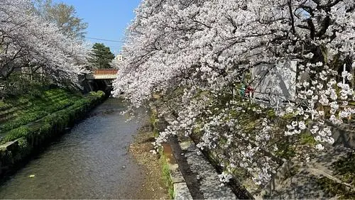 松川遊覧船