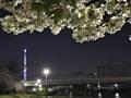 jamesさんが投稿したカフェパークサイドに関する口コミの画像
