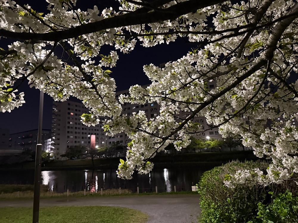 jamesさんが投稿したカフェパークサイドに関する口コミの画像