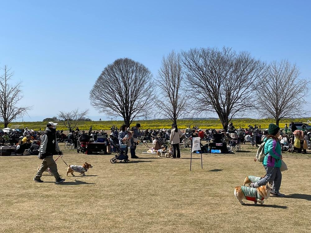 L&Rさんが投稿した吉見町に関する口コミの画像