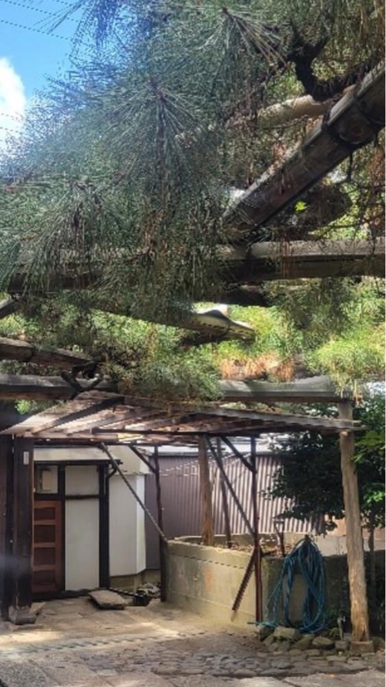 京都を巡る会・「武」さんが投稿した雨宝院に関する口コミの画像