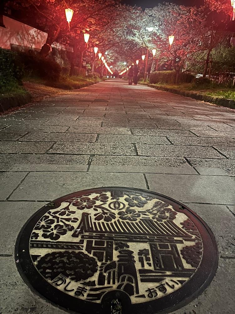ponponao②さんが投稿した旭ケ岡公園の桜に関する口コミの画像