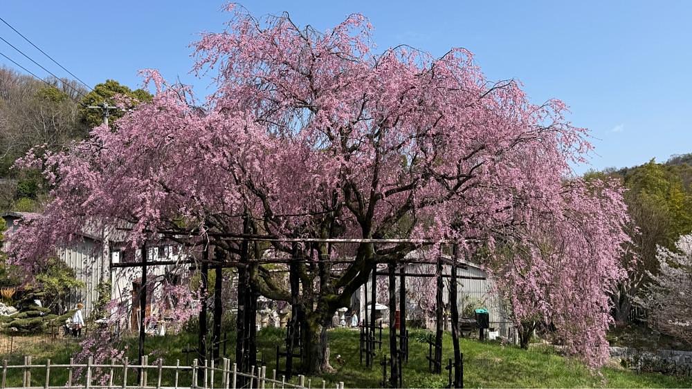 みぃさんが投稿した鬼無駅に関する口コミの画像