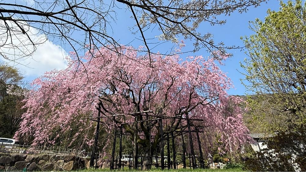 みぃさんが投稿した鬼無駅に関する口コミの画像