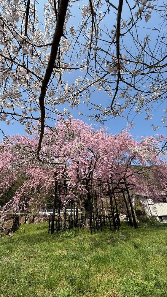 みぃさんが投稿した鬼無駅に関する口コミの画像