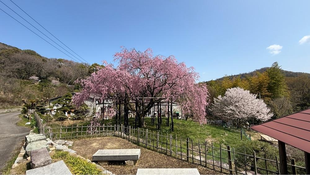 みぃさんが投稿した鬼無駅に関する口コミの画像