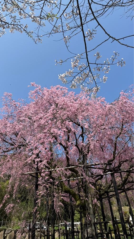 みぃさんが投稿した鬼無駅に関する口コミの画像