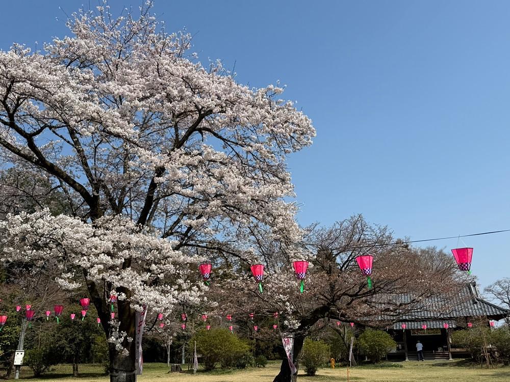 junkunさんが投稿した都立滝山公園　滝山城址に関する口コミの画像