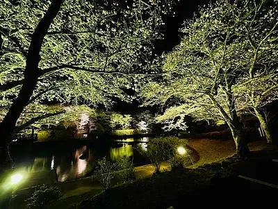 吉四六(きっちょむ)ランド
