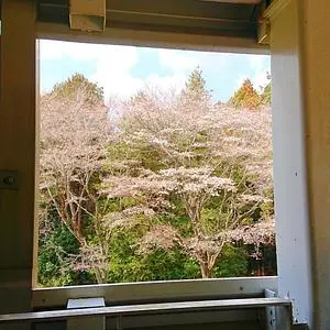 くれふしの里古墳公園