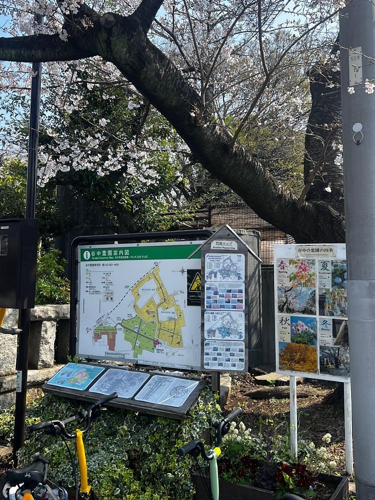 🤎アイヒンまま🤎さんが投稿した谷中霊園に関する口コミの画像