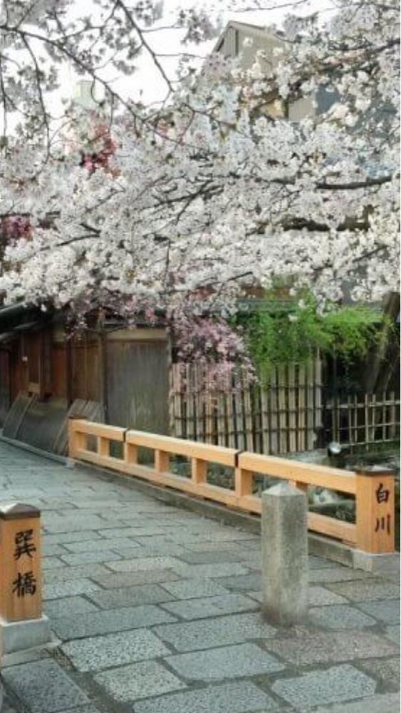 京都を巡る会・「武」さんが投稿した巽橋に関する口コミの画像