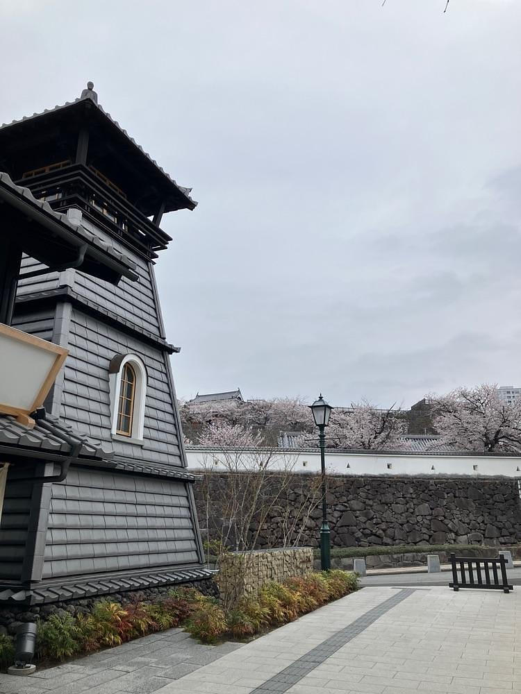Nさんが投稿したkado.に関する口コミの画像