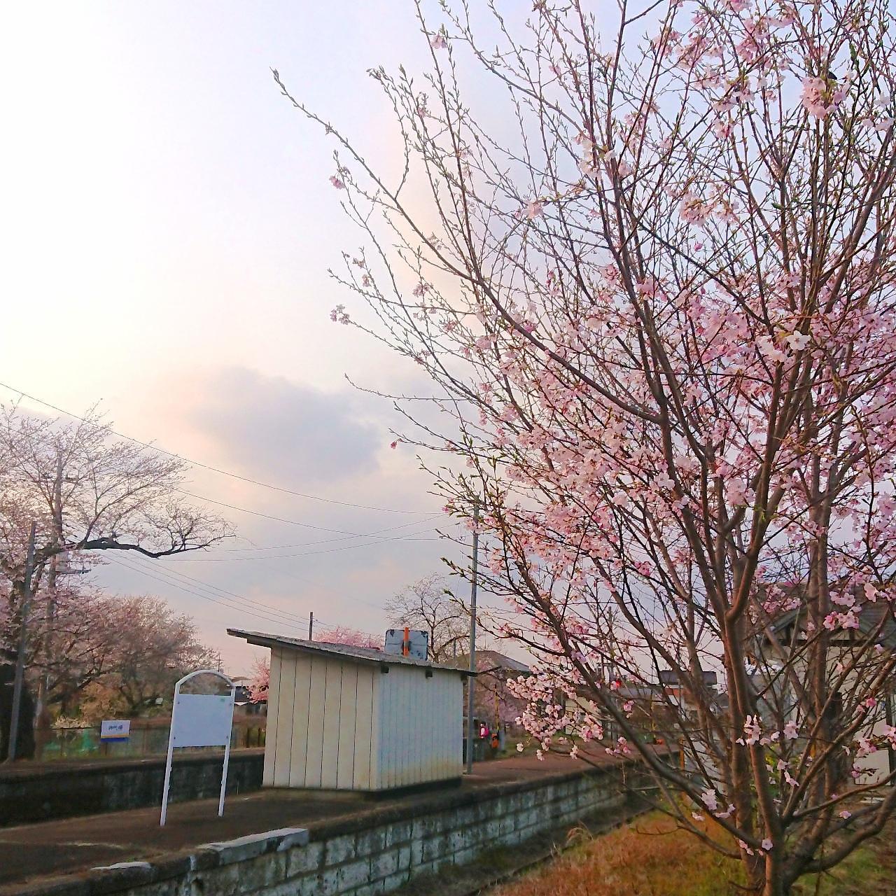 ℍ𝕚𝕤𝕒𝕞𝕒𝕣𝕦-𝕔𝕙𝕒𝕟さんが投稿した黒子駅に関する口コミの画像