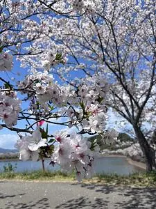 立岡自然公園