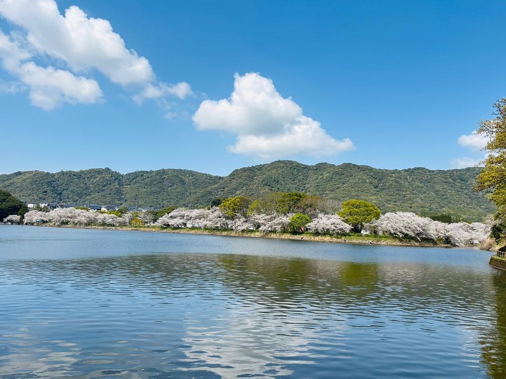 luckyさんが投稿した立岡自然公園に関する口コミの画像