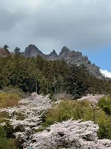 さくらの里