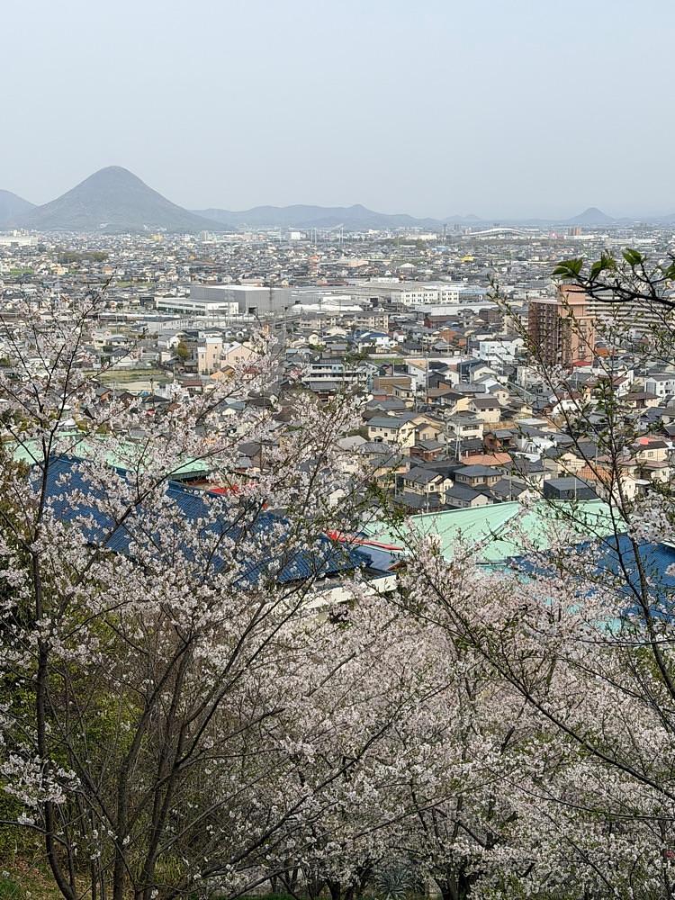 haruu harukuroさんが投稿した桃陵公園展望台に関する口コミの画像