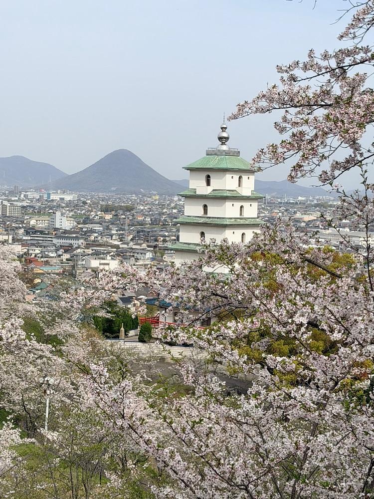 haruu harukuroさんが投稿した桃陵公園展望台に関する口コミの画像