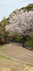 桃陵公園