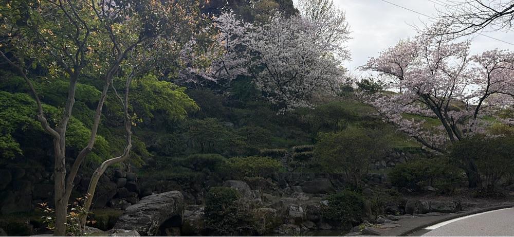 haruu harukuroさんが投稿した桃陵公園に関する口コミの画像