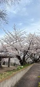 金剛禅総本山少林寺