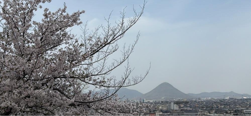 haruu harukuroさんが投稿した金剛禅総本山少林寺に関する口コミの画像