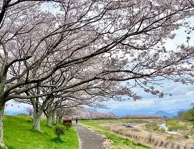 白沢公園