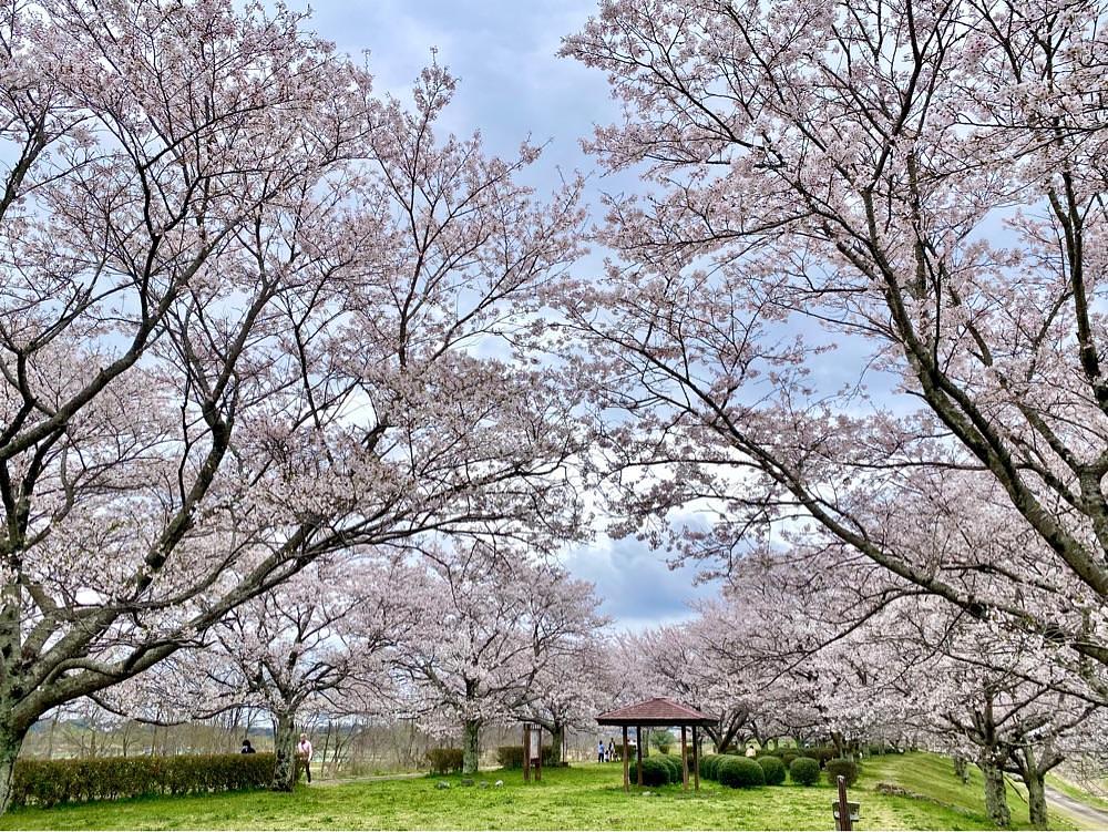 calm_gift_1030さんが投稿した白沢公園に関する口コミの画像